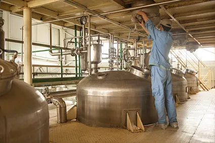 Selenium Enriched malt powder